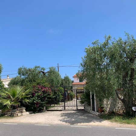 Villa Monica Appartamenti ヴィエステ エクステリア 写真