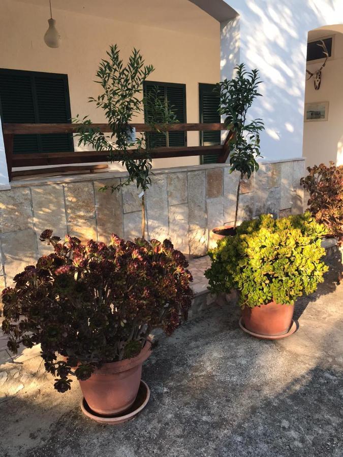 Villa Monica Appartamenti ヴィエステ エクステリア 写真