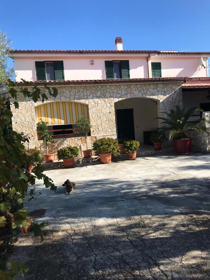 Villa Monica Appartamenti ヴィエステ エクステリア 写真