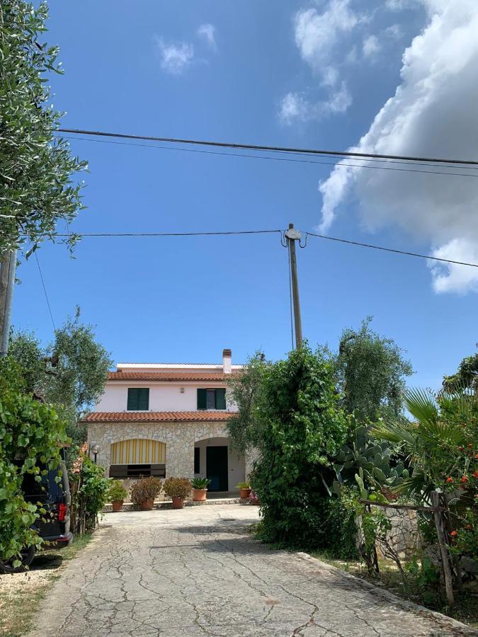 Villa Monica Appartamenti ヴィエステ エクステリア 写真