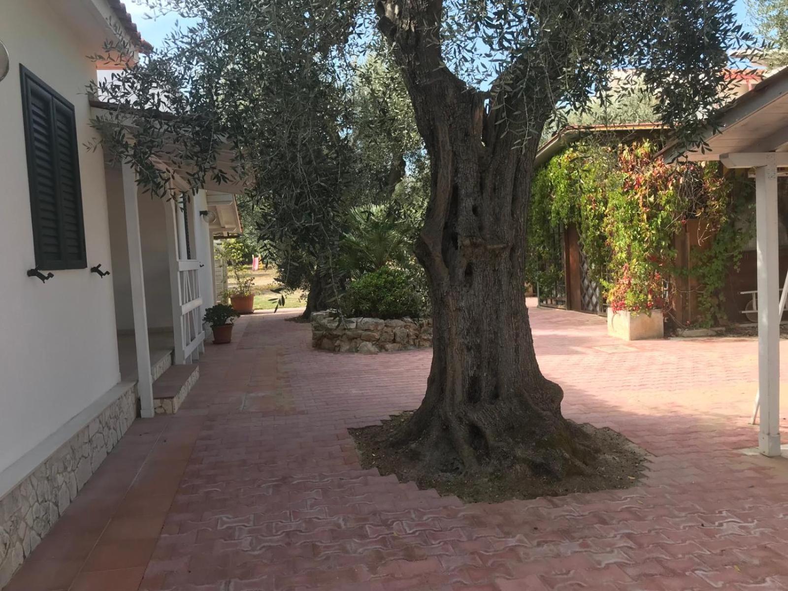Villa Monica Appartamenti ヴィエステ エクステリア 写真