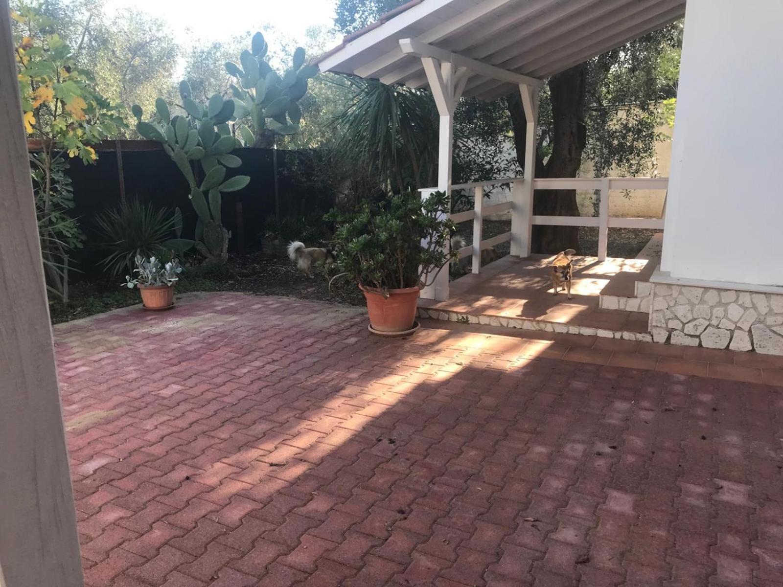 Villa Monica Appartamenti ヴィエステ エクステリア 写真