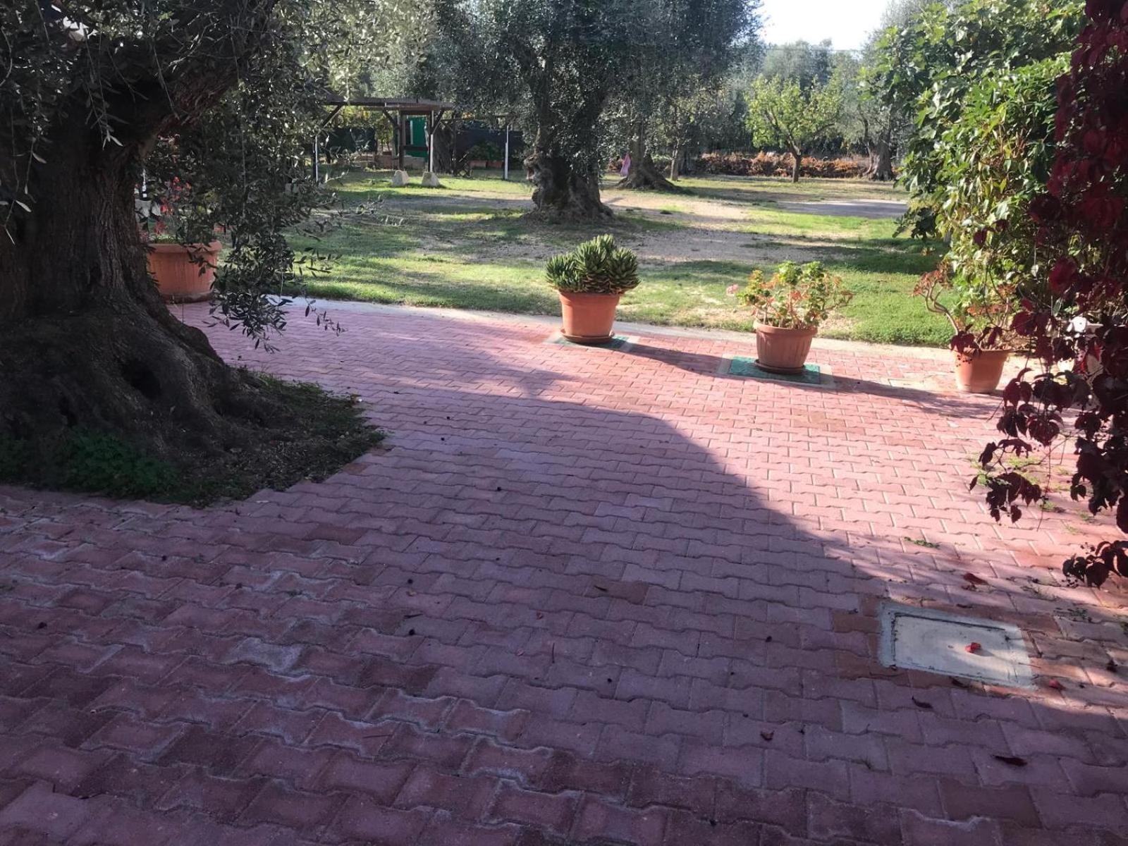 Villa Monica Appartamenti ヴィエステ エクステリア 写真